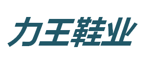 山东力王鞋业有限公司